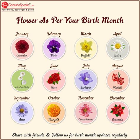 Korean Birth Flower Calendar
